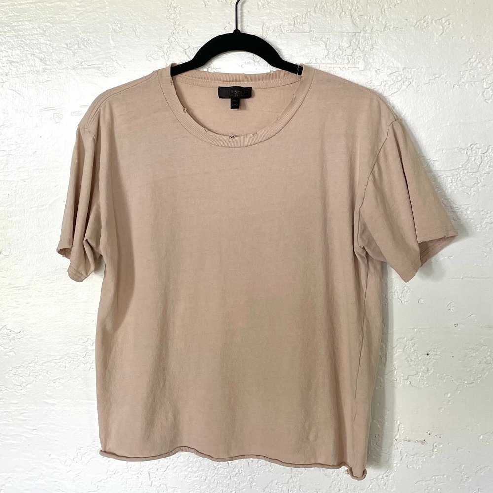 Distressed Topshop Crop Tee